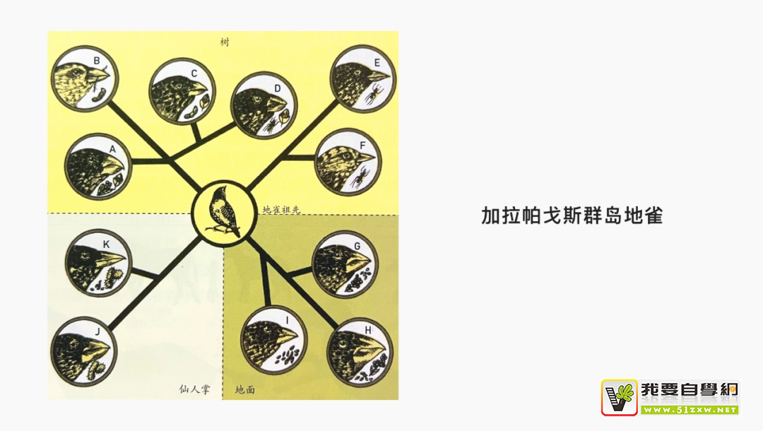 用2個實戰(zhàn)案例，聊聊設計的形式與功能