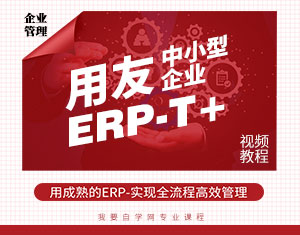 СI(y)ERP-T+̳