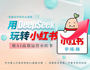 用DeepSeek玩轉(zhuǎn)小紅書